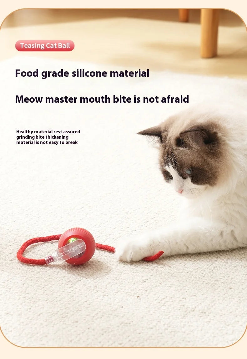 Rechargeable Interactive Cat Toy Smart Rolling Ball - Smarsty