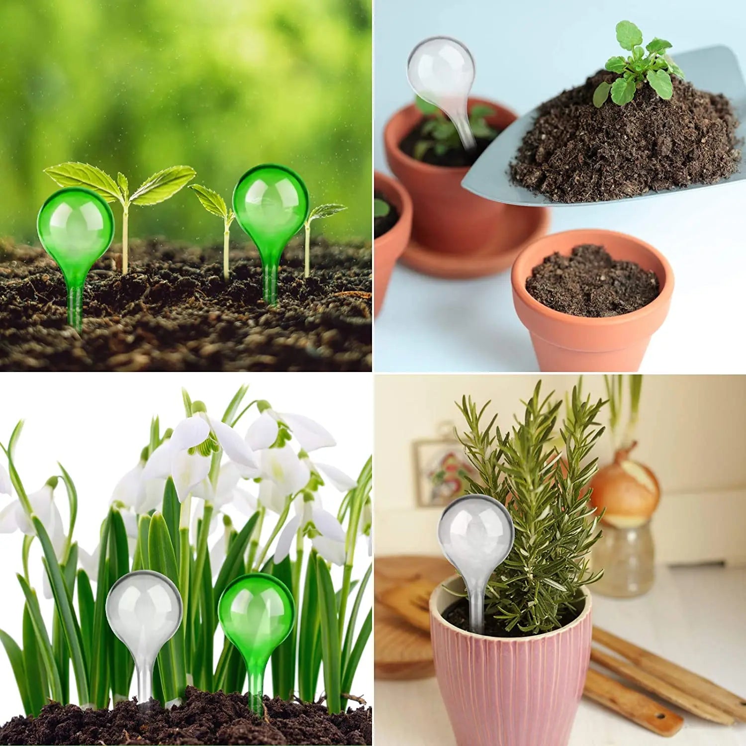 Automatic Plant Watering Bulbs for Hassle-Free Hydration - Smarsty