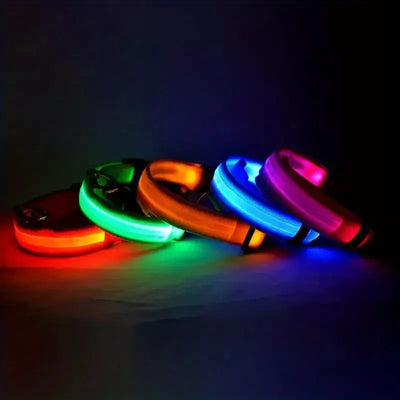Nylon LED Dog Leash for Night Safety - Smarsty