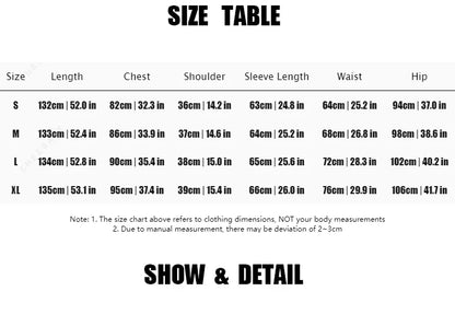 CHEERART Designer Pleate French Long Maxi Dress For Women Flare Long Sleeve Swing A Line Dress Fall Clothes - Smarsty