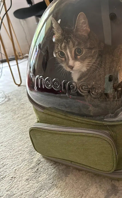 Transparent Folding Pet Carrier Backpack for Travel - Smarsty