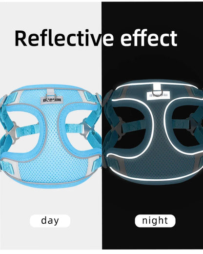 Reflective Dog Harness Leash Set for Outdoor Safety - Smarsty