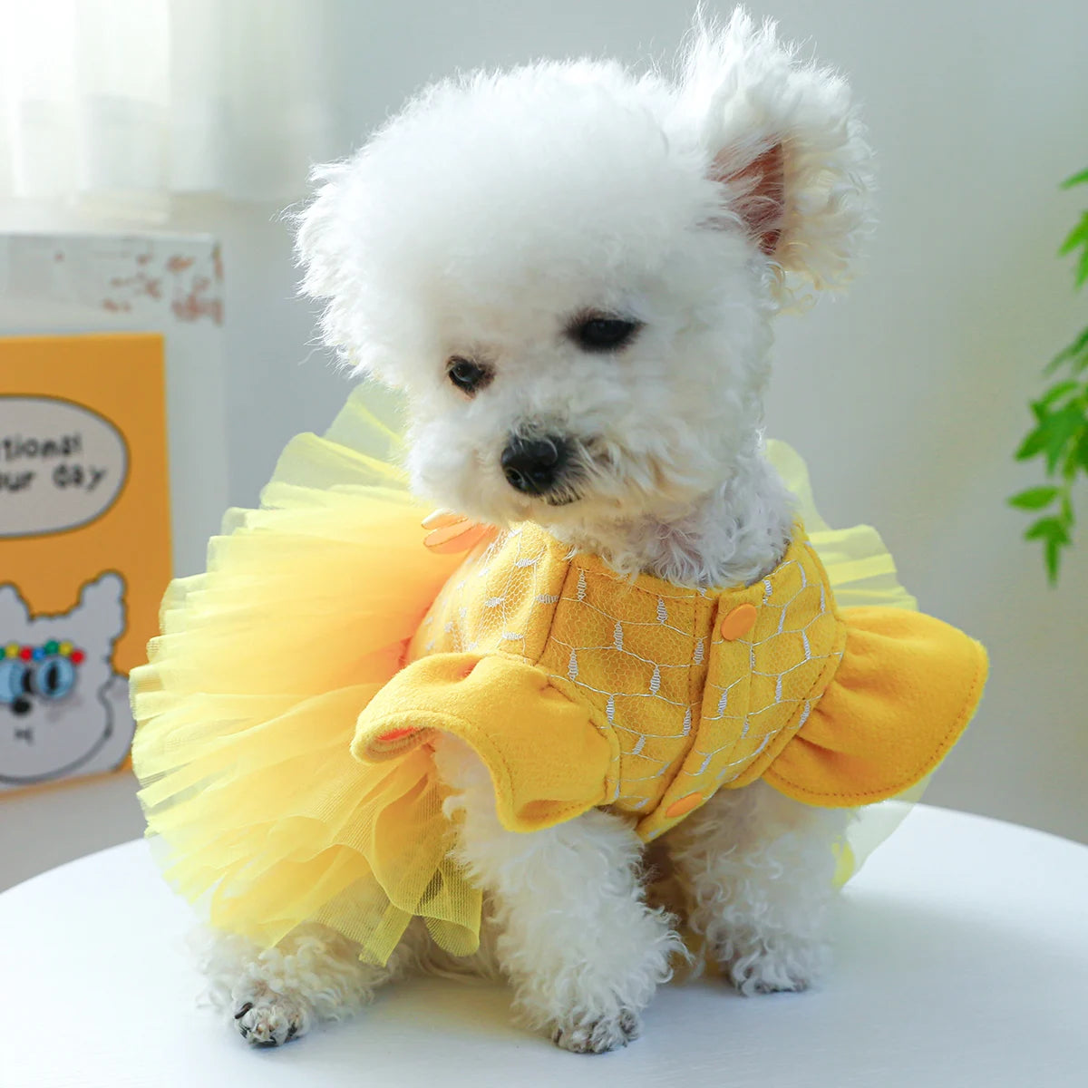 Yellow Flying Sleeve Dog Princess Dress for Autumn Winter - Smarsty