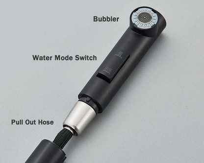 Black Stainless Steel Pull Out Kitchen Faucet with Free Shipping - Smarsty