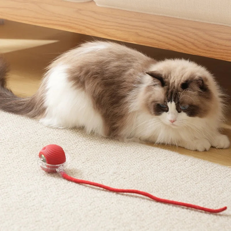 Rechargeable Interactive Cat Toy Smart Rolling Ball - Smarsty