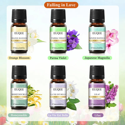 EUQEE 6 Piece Fragrance Oil Set for Diffusers - Smarsty