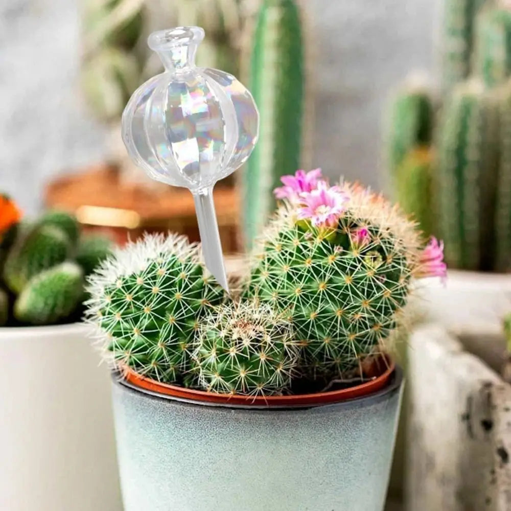 Automatic Cactus Self Watering Planter Cactus Glass Automatic Plant Watering Bulbs Cute Plant Water Feeder Glass Bulbs Indoor