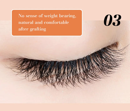 DeceMars 6D-W Shaped Eyelash Extensions for Natural Look - Smarsty