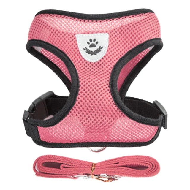 Adjustable Dog Harness and Leash Set for Small Dogs - Smarsty