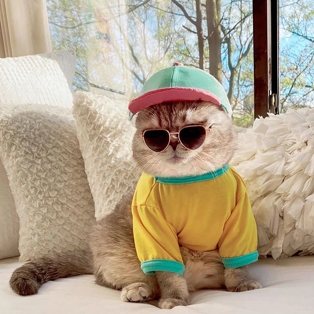 Vintage Round Dog Sunglasses for Stylish Pet Photos - Smarsty