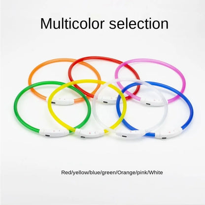 LED USB Dog Collar for Night Safety and Visibility - Smarsty