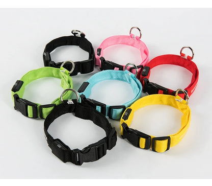Nylon LED Glow In The Dark Dog Leash - Smarsty