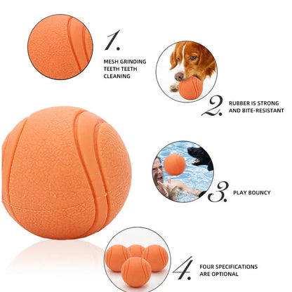 Hoopet Bite-Resistant Rubber Dog Ball Toy - Smarsty