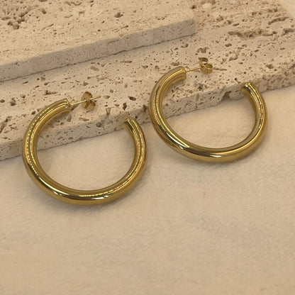 Trendy Gold Hoop Earrings for Women Classic Stainless Steel Design - Smarsty
