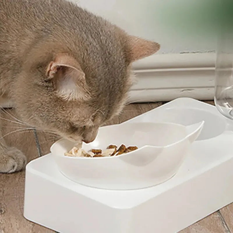 Tilted Pet Bowl for Healthy Feeding Angle - Smarsty