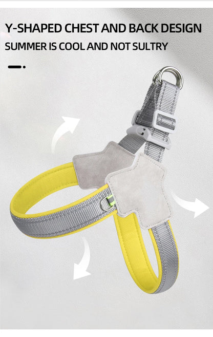 Reflective No Pull Dog Harness for Small Dogs - Smarsty