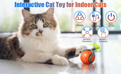 Interactive Electric Rolling Cat Ball Toy Rechargeable Fun - Smarsty