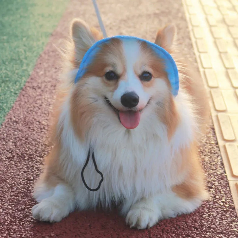 Cotton Cat Sun Hat With Ear Holes For Pets - Smarsty