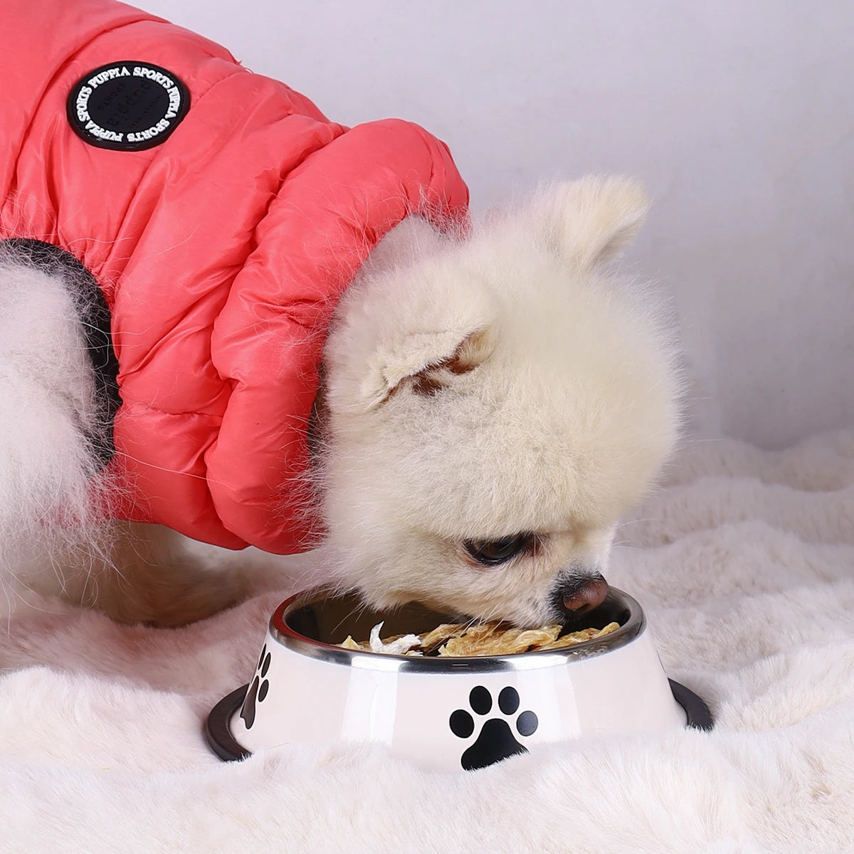 Stainless Steel Anti-Fall Pet Bowl for Dogs and Cats - Smarsty