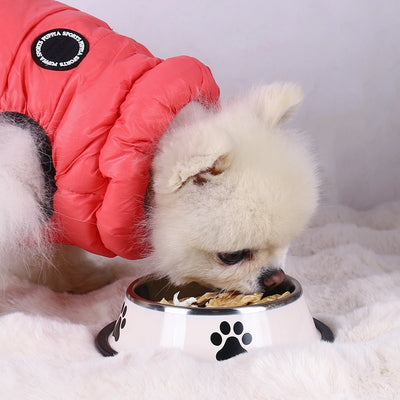 Stainless Steel Dog and Cat Food Bowl Anti-Fall Design - Smarsty