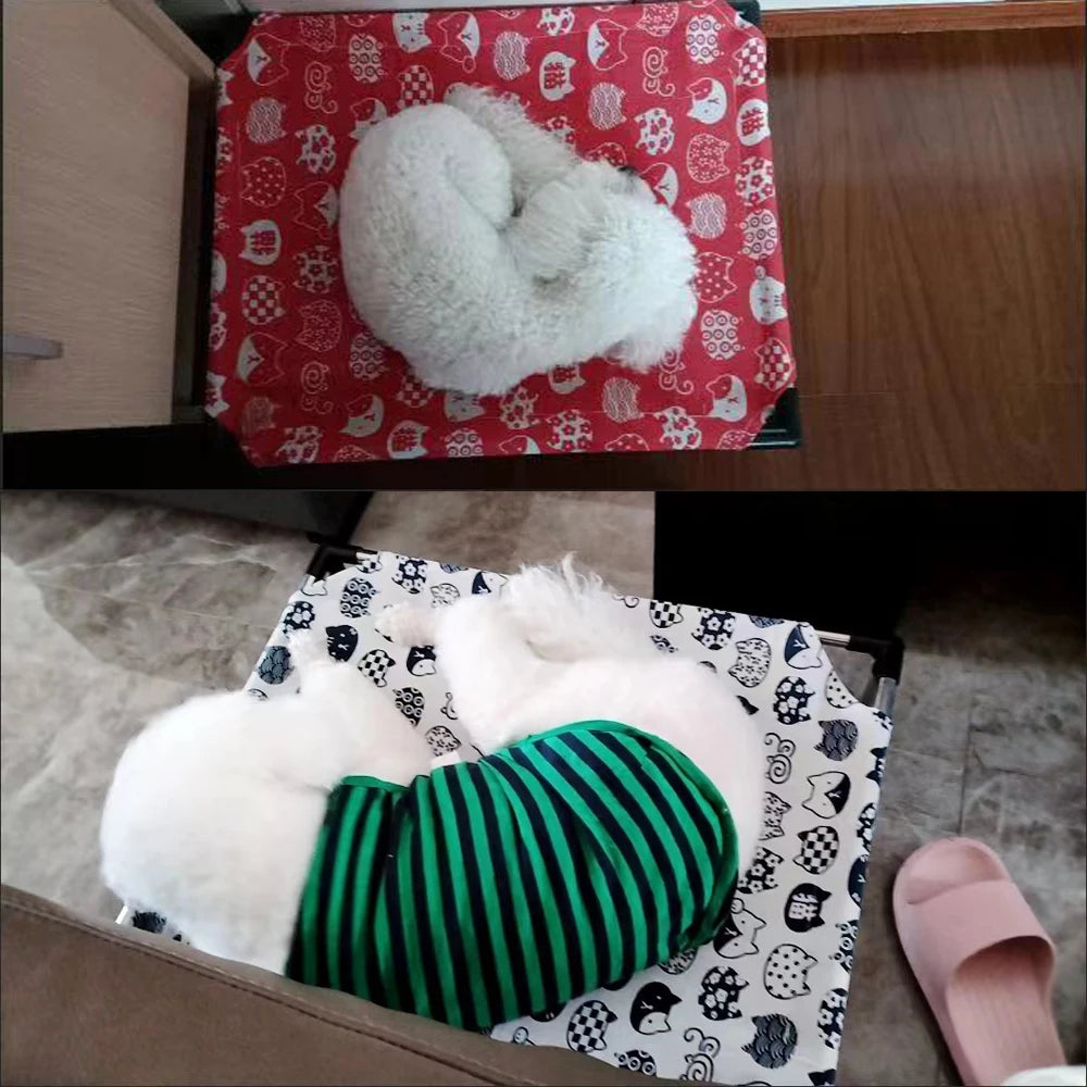 Portable Elevated Dog Bed with Washable Fabric - Smarsty