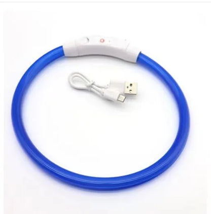 USB Rechargeable LED Dog Collar for Night Safety - Smarsty