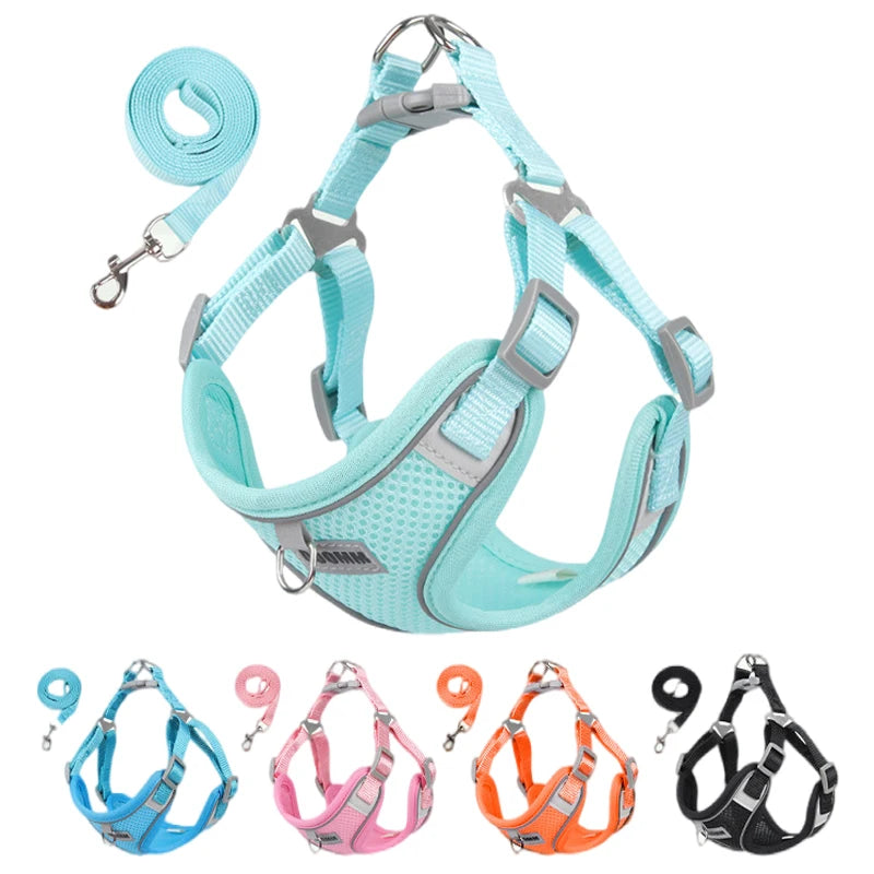 Reflective Dog Harness Leash Set for Outdoor Safety - Smarsty