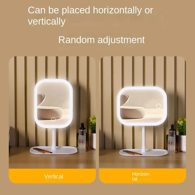 Niche Modern LED Makeup Mirror with Three Color Light - Smarsty