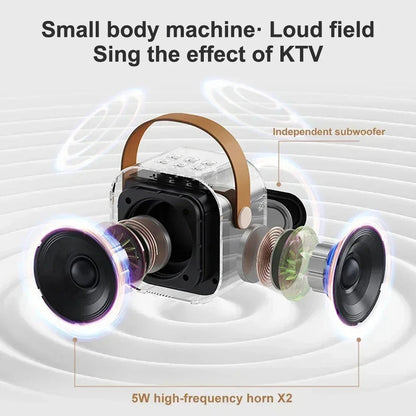 K12 Portable Karaoke Machine with Wireless Microphones - Smarsty