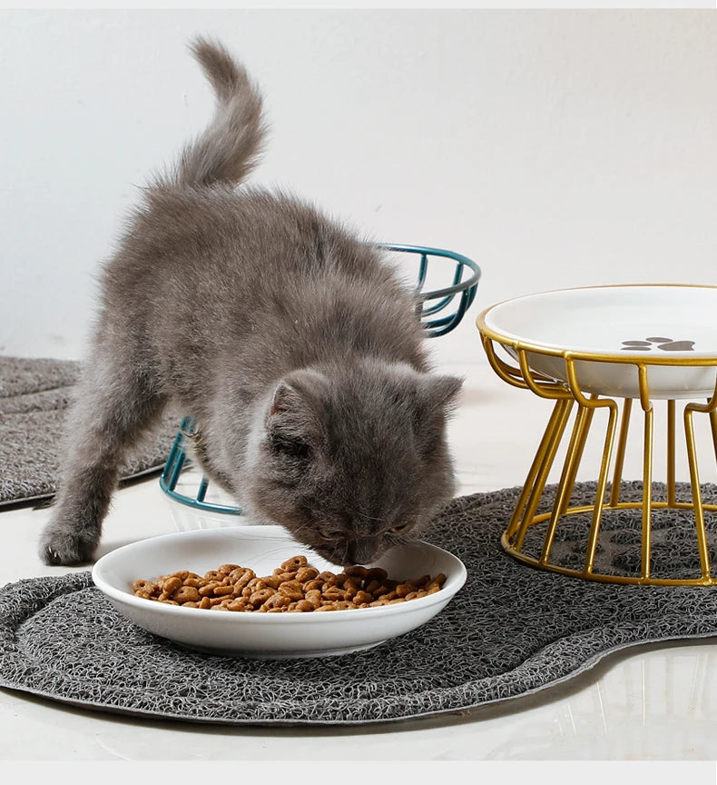 Ceramic Raised Pet Bowl for Cats and Dogs - Smarsty