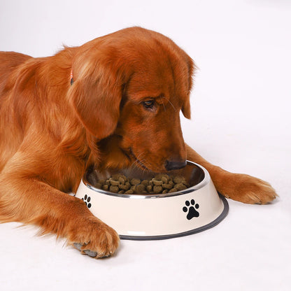 Stainless Steel Dog and Cat Food Bowl Anti-Fall Design - Smarsty