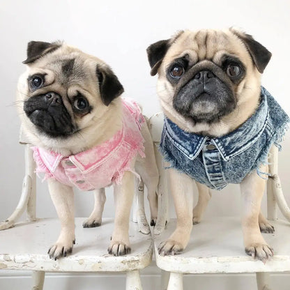 Denim Dog Jacket with Stylish Holes for All Seasons - Smarsty