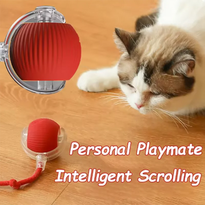 Interactive Cat Rolling Ball Toy with Rechargeable Tail - Smarsty