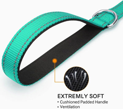 Reflective Dog Harness Leash for Safe Night Walks - Smarsty