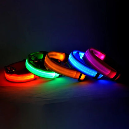 Nylon LED Glow In The Dark Dog Leash - Smarsty