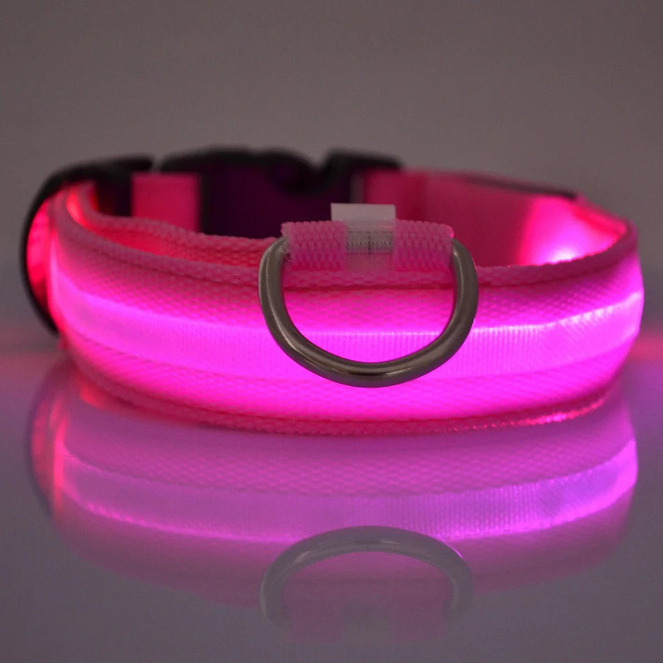 Nylon LED Glow In The Dark Dog Leash - Smarsty