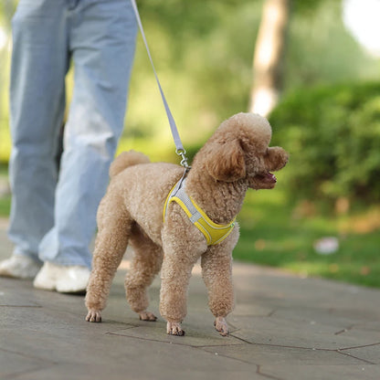 Adjustable Dog Harness Leash Set for Small Dogs - Smarsty