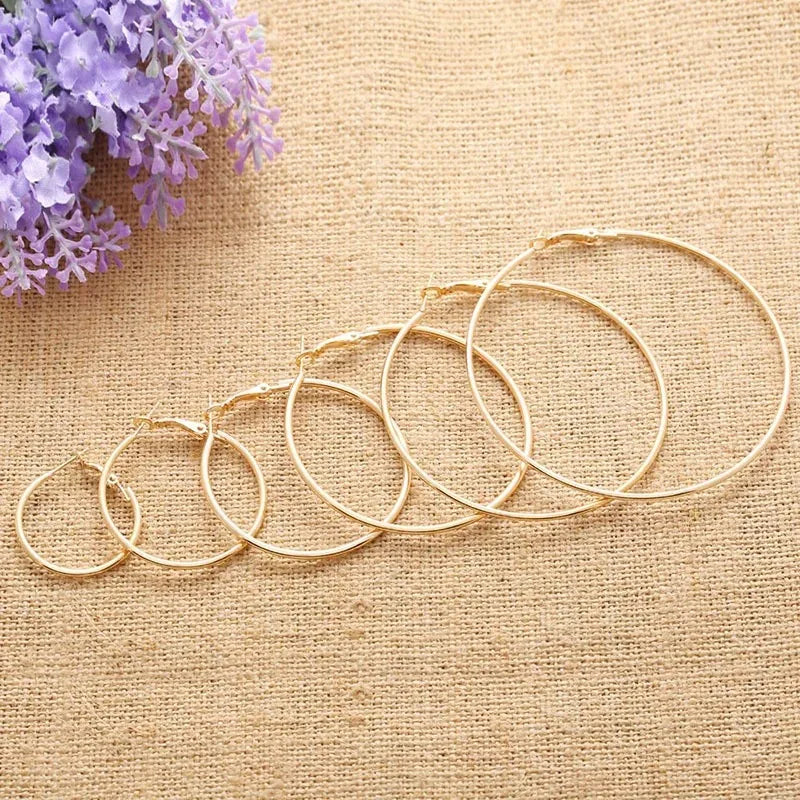 Stainless Steel Hoop Earrings Two Pair Adjustable Sizes - Smarsty