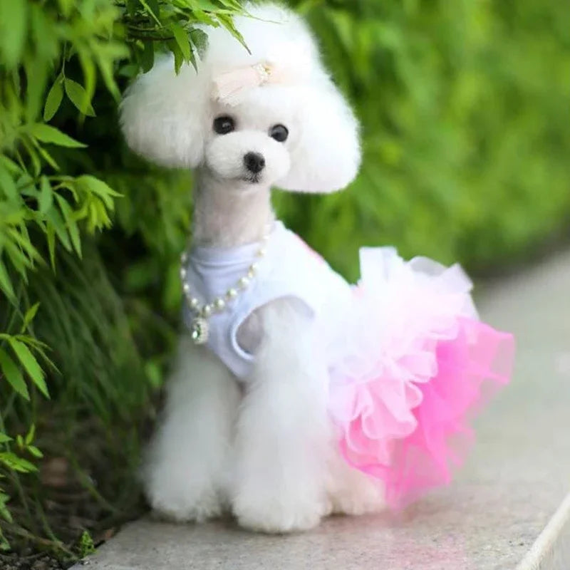 Cute Lace Puppy Dress for Summer Pet Apparel - Smarsty