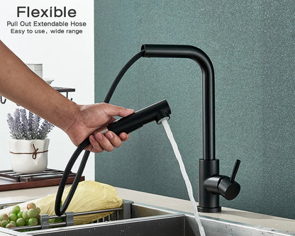 Black Stainless Steel Pull Out Kitchen Faucet with Free Shipping - Smarsty
