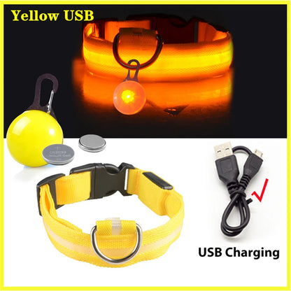 USB Charging Bright LED Dog Collar for Night Safety - Smarsty