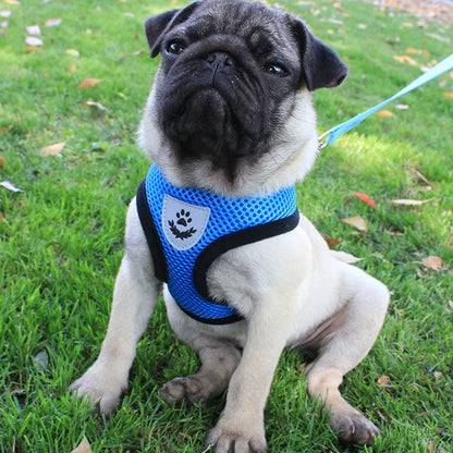 Adjustable Breathable Dog Cat Harness with Reflective Safety - Smarsty