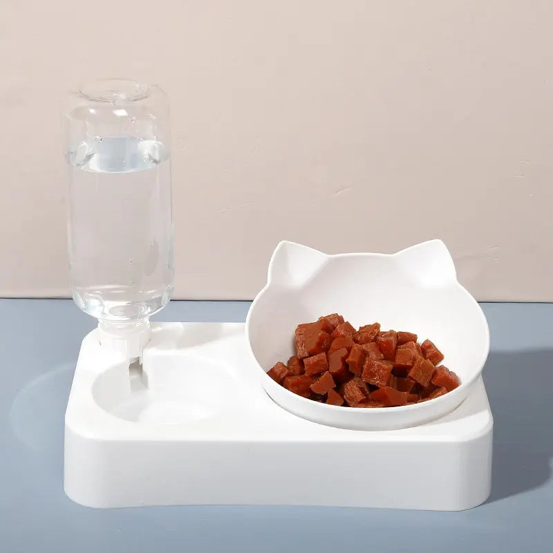 Tilted Pet Bowl for Healthy Eating and Comfort - Smarsty
