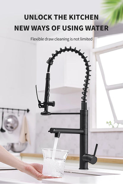 Chrome Brass Kitchen Faucet with Pull Out Spray - Smarsty