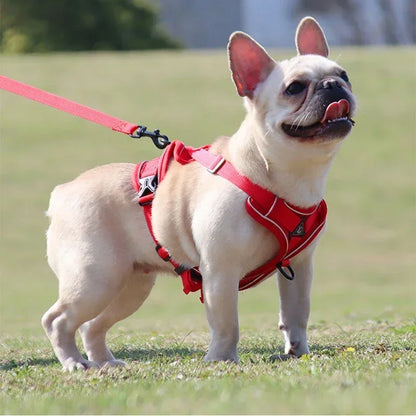 No Pull Adjustable Dog Harness and Leash Set - Smarsty