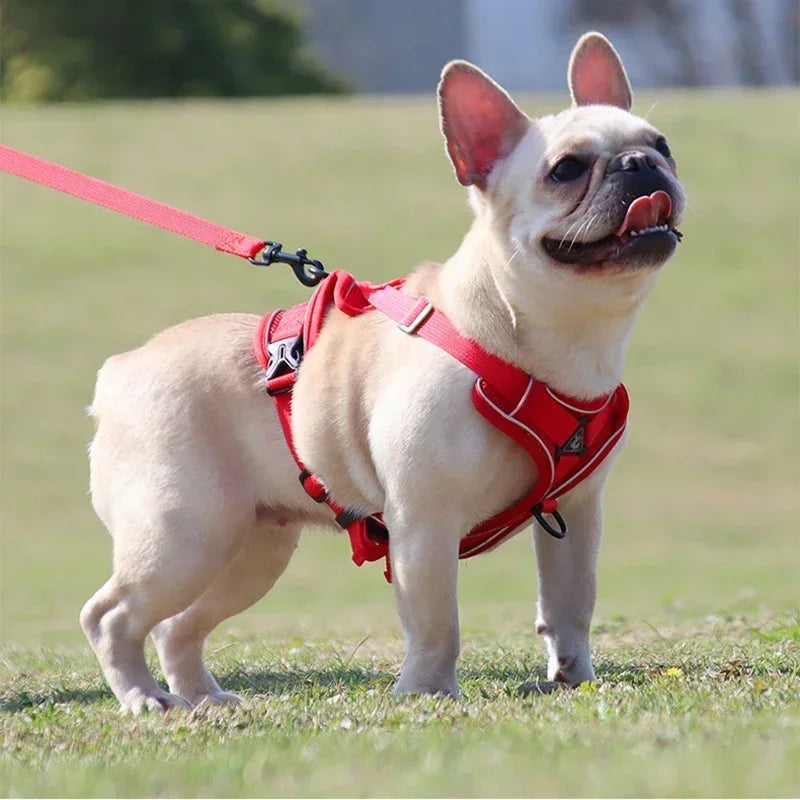 No Pull Adjustable Dog Harness and Leash Set - Smarsty