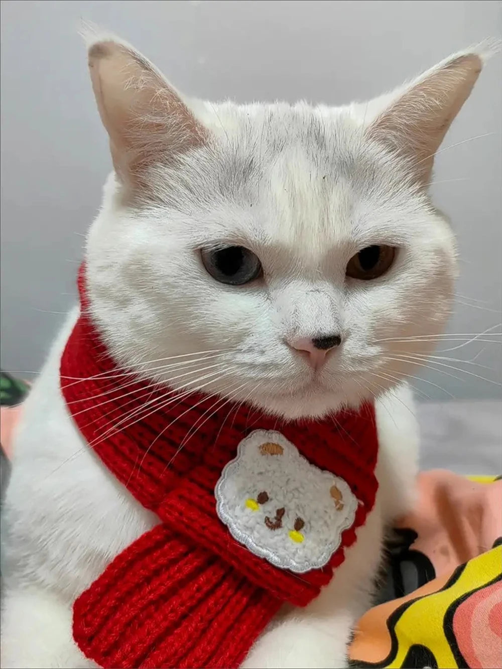 Cartoon Bear Print Scarf for Small Dogs and Cats - Smarsty