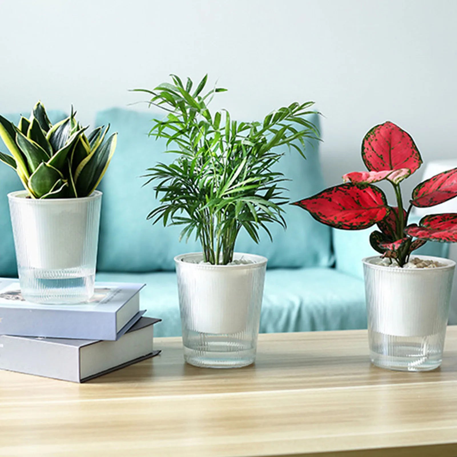 Water-Absorbing Plant Flower Pots Modern Style Transparent Plants Flowers Pots for Garden Enthusiast Lover Gift