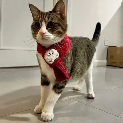 Cartoon Bear Print Scarf for Small Dogs and Cats - Smarsty