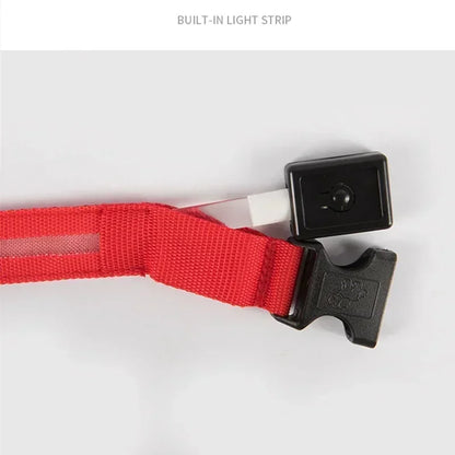 LED Glowing Dog Collar Adjustable Rechargeable Night Safety - Smarsty